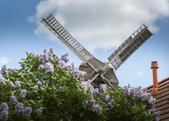 Couette-café Mein - Am Markt 3*